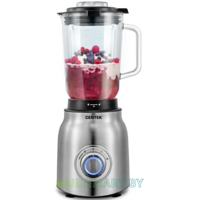 Стационарный блендер CENTEK CT-1300